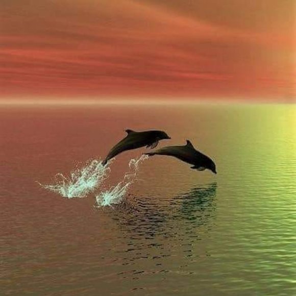 Hi There!  Meet your Posher, Nanci - Picture 1 of 2